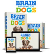 Brain Training 4 Dogs