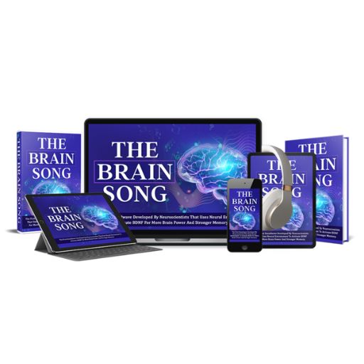 The Brain Song